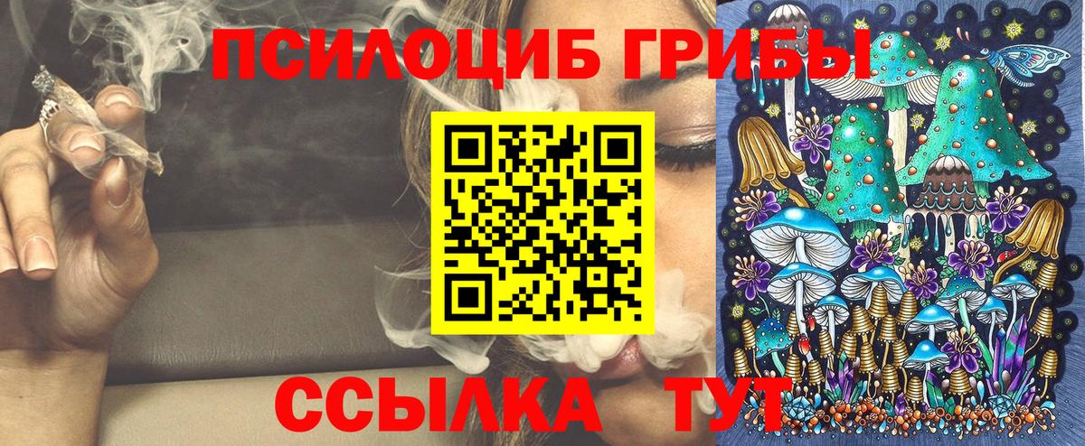 Верхняя Пышма  Галлюциногенные грибы Psilocybe  Галлюциногенные грибы мухоморы  Вход с VPN 