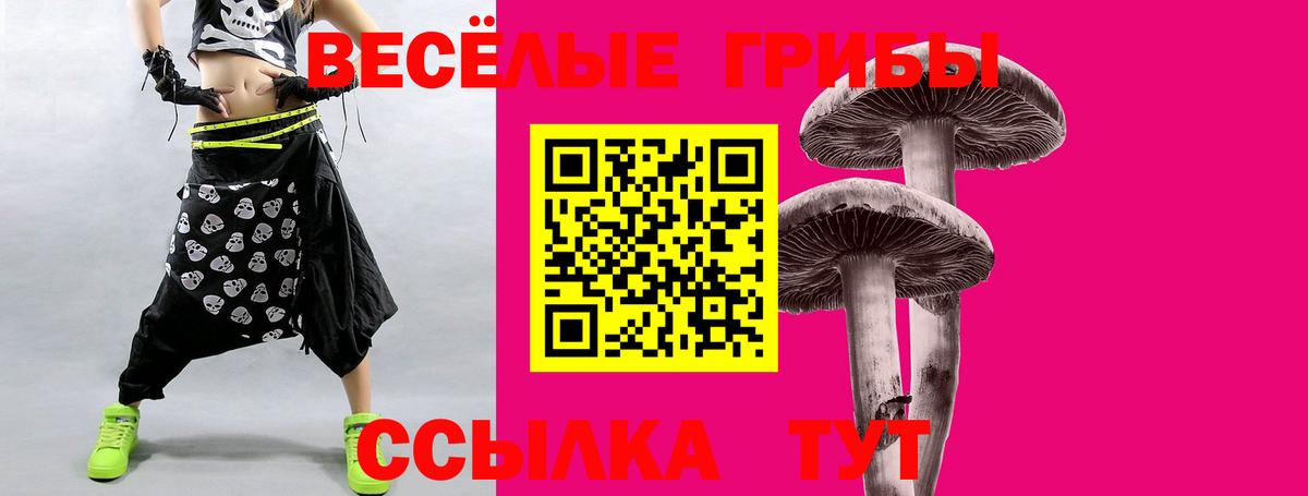 Псилоцибиновые грибы MAGIC MUSHROOMS Верхняя Пышма